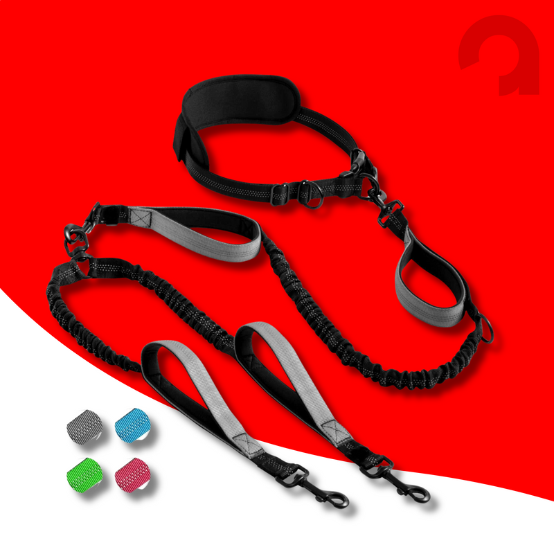 PowerWalk™ - Cinto de Tração Multifuncional para Cães