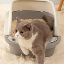 KittyBox™ - Caixa de Areia Semi-Fechada para Gatos